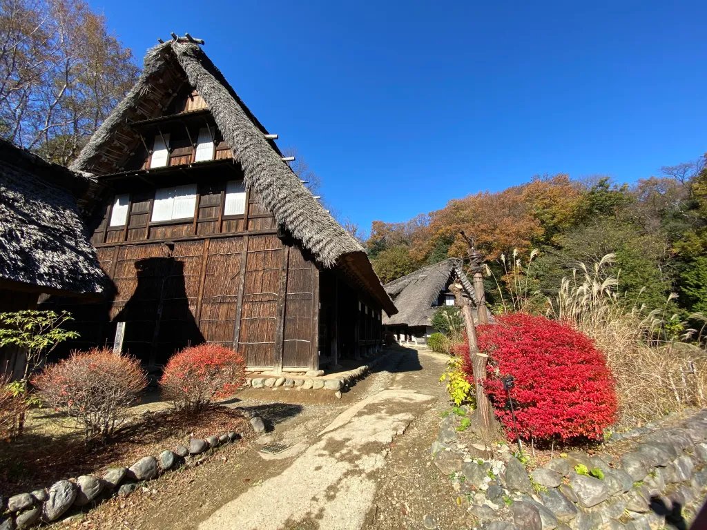 🏛️ 일본 민가원(니혼 민카엔) 이미지 7